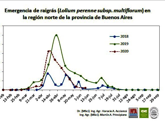 ‼️De la importancia de obtener curvas de emergencia regionales a lo largo de los años 👉🏾 Gran variabilidad en el número de plantas totales como en el número de generaciones en el ciclo....Interesante para el “timing” de herbicidas ..🧩🔄♻️