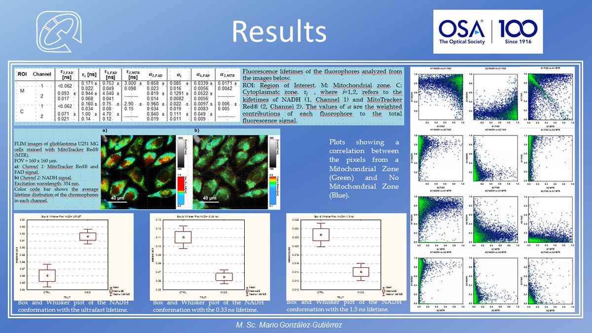 IonsOpuma2020's tweet photo. Poster Nights @IonsOpuma2020

Name: Mario González-Gutiérrez
Title: Fluorescence Lifetime Imaging Microscopy (FLIM) as a tool for metabolic dynamics and structural studies using endogenous fluorophores in cancer cells in vivo

#Msc. Student - @iquimicaunam

Category: #Microscopy https://t.co/3nEEtHq02Y