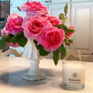 Bella_Vcandles's tweet photo. Just breathe.  Plus a free gift and coupon. - https://t.co/i2RmZZwwQk https://t.co/AWrlg0WduK