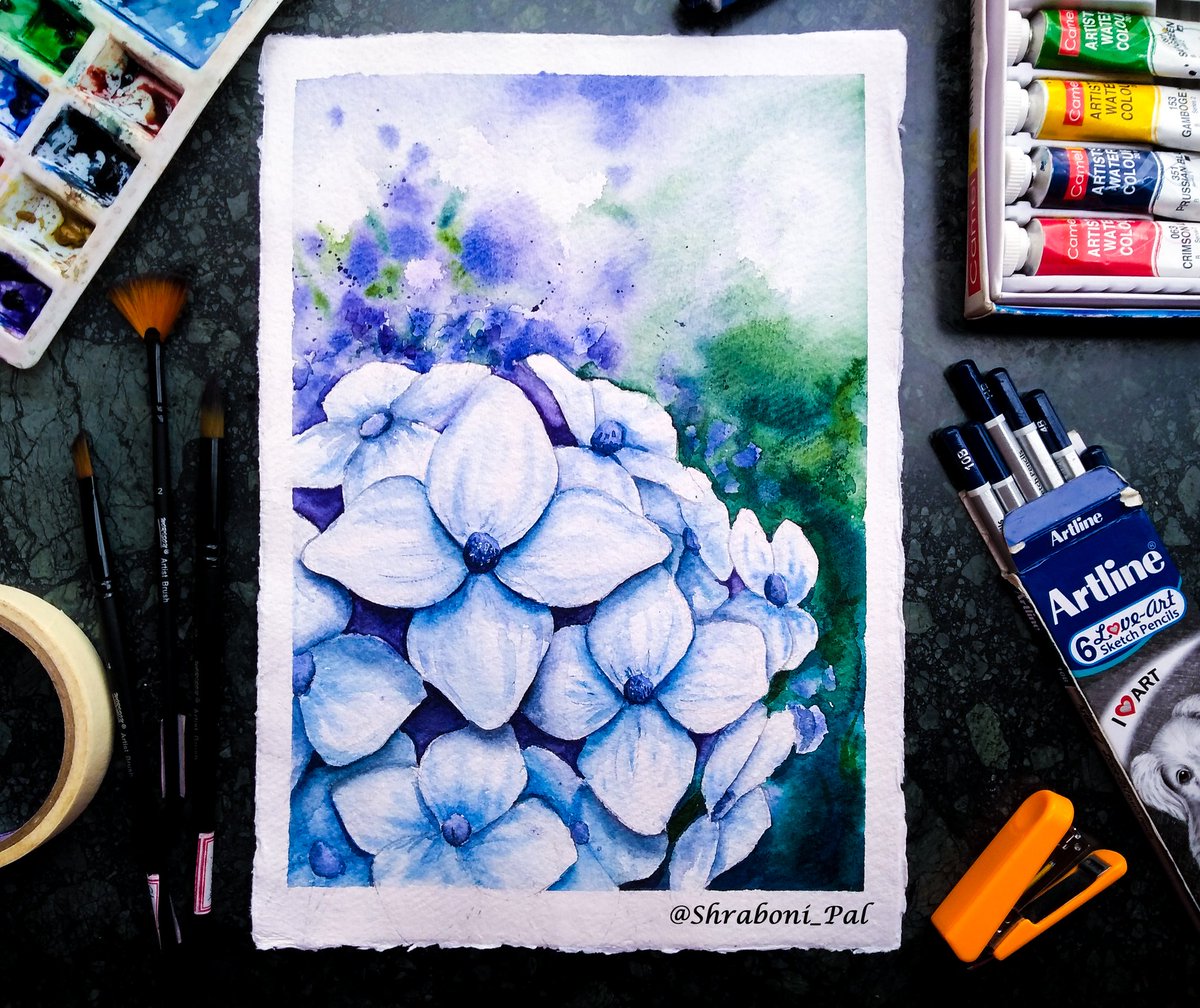 ◆Hey guys,this time I have tried one of my favorites flower Hydrangea🌸💕 ◆Video is on my channel🎥 ◆I have used #camlinkukoyo watercolours🎨 ◆BE ALWAYS CREATIVE🤘😉
#hydrangeaflower #hydrangeapainting #watercolorpainting #artforfun #art #artist #watercolorartist #watercolour