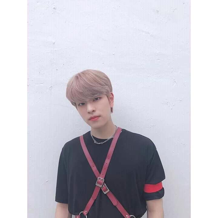 Vnz_StrayKids's tweet photo. 📷 RealStrayKids - 200610 | #Seungmin ❣️🥰 1/3
"Finding SKZ God Edition!!!!✌️
#Seungstagram #FindingStrayKids"
.
.
.
#StrayKidsComeback #GO生 #GOLIVE
#방찬 #리노 #창빈 #현진 #한 #필릭스 #승민 #아이엔 https://t.co/RB4uTeFi22
