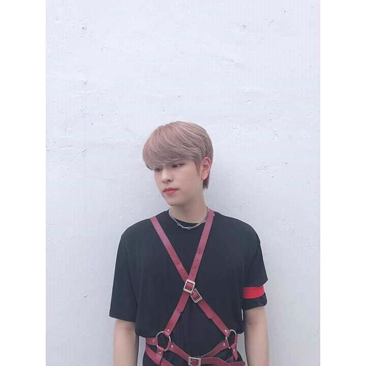 Vnz_StrayKids's tweet photo. 📷 RealStrayKids - 200610 | #Seungmin ❣️🥰 1/3
"Finding SKZ God Edition!!!!✌️
#Seungstagram #FindingStrayKids"
.
.
.
#StrayKidsComeback #GO生 #GOLIVE
#방찬 #리노 #창빈 #현진 #한 #필릭스 #승민 #아이엔 https://t.co/RB4uTeFi22