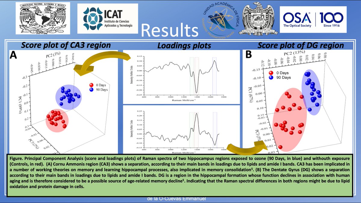 IonsOpuma2020's tweet photo. Poster Nights @IonsOpuma2020

Name:Emmanuel de la O C.
Title: Raman Spectroscopy and Principal Component Analysis for Cell Classification in Hippocampus of Rats Exposed to Ozone

#PhD Student- @UAZ_Oficial @ICATUNAM

Category: #Biophotonics

#AcademicTwitter #OSA
#UnstoppableIONS https://t.co/HW4uvW7lFL