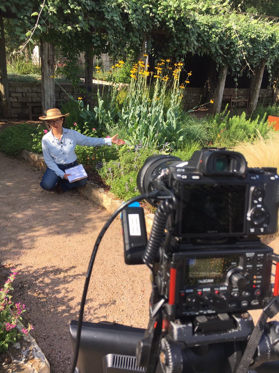 CM_Austin's tweet image. Thank you to The Lady Bird Johnson Wildflower Center 
@WildflowerCtr for sharing (socially distanced &amp;amp; virtually) the beauty of our native plants and the knowledge of Andrea DeLong-Amaya &amp;amp; Angel Horne with our #CMTEXAS audience creativemornings.com/talks/creative… #CMnature