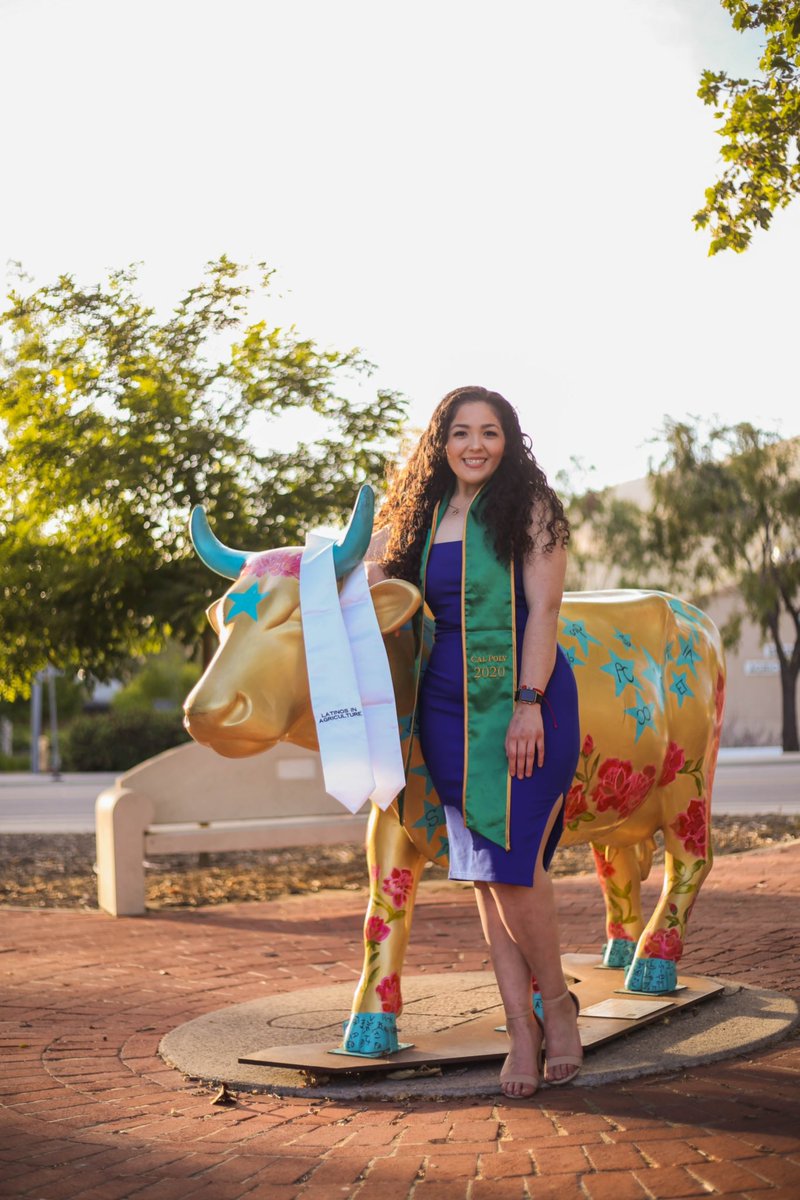 mtostada7's tweet photo. Never underestimate el poder de una mujer🇲🇽🎓
And remember, FUCK 12 https://t.co/BPJzvmAoLC