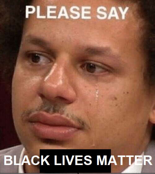 FakeSyr_Arch's tweet photo. @Syr_Arch just say it Black Lives Matter. pls just support BIPOC members of your community. https://t.co/paYGVUjPOw
