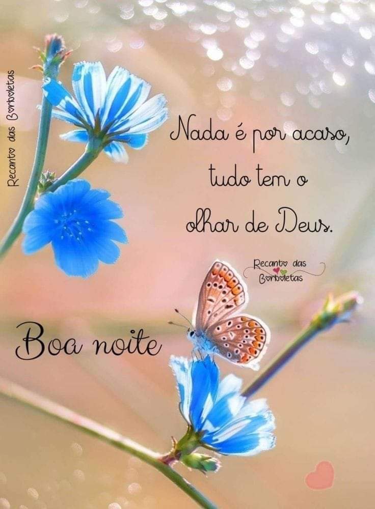 É NO SILÊNCIO QUE DEUS NOS DÁ AS MELHORES RESPOSTA❣️🙏🙌 Deus