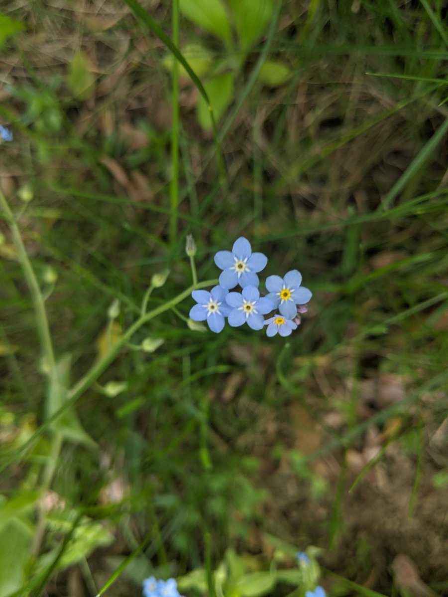 Thomas Stewart tweet media