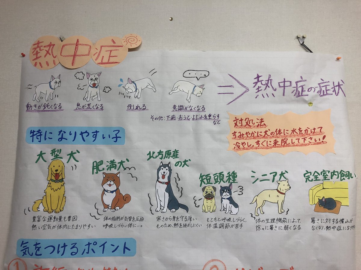D ｶｯ 病院の掲示物が相変わらず素晴らしいので貼っておきます 熱中症について書かれています よろしければご確認下さいませ 秘密結社老犬倶楽部 老犬介護 熱中症予防