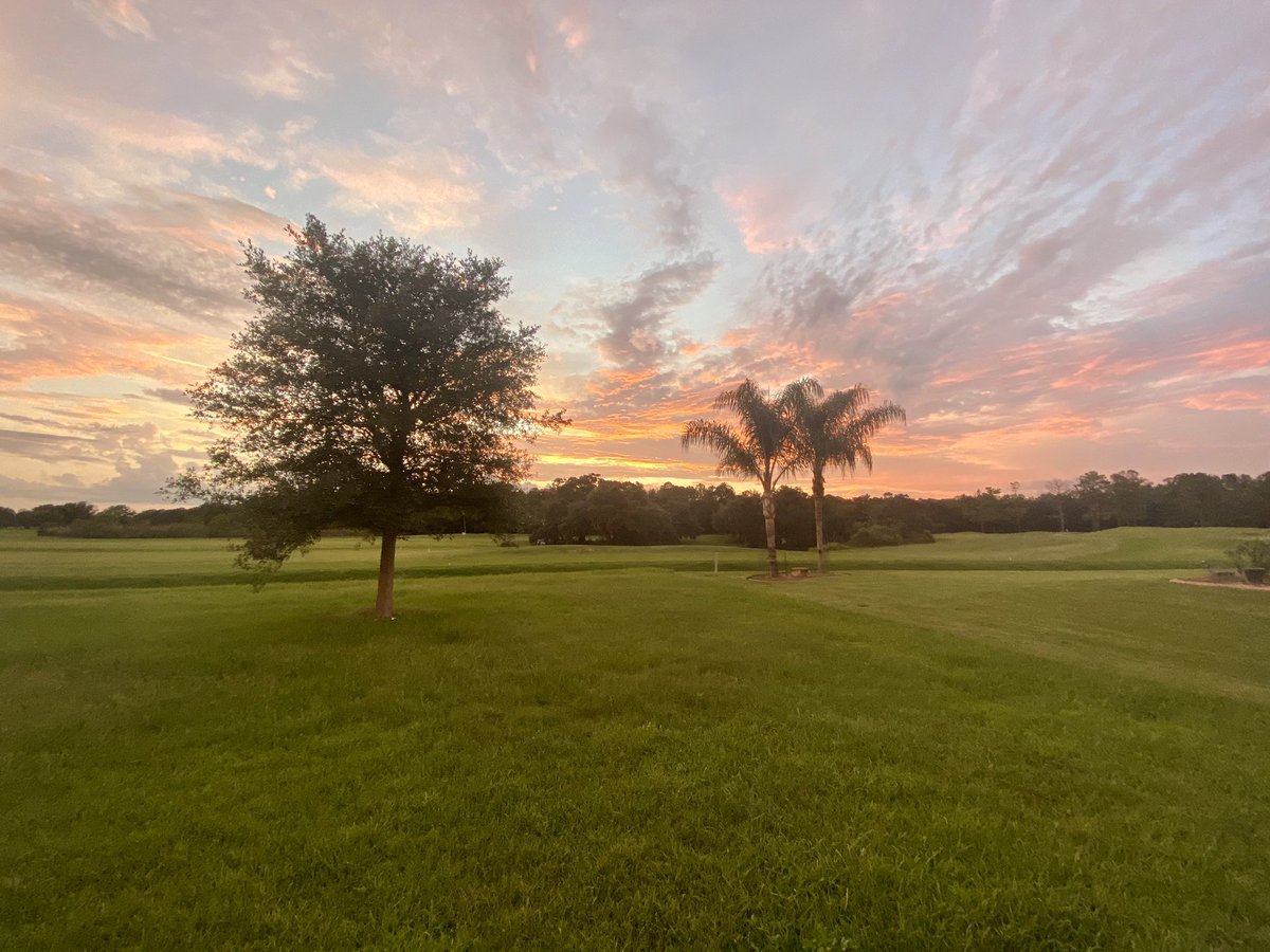 Shelby Kelly tweet media