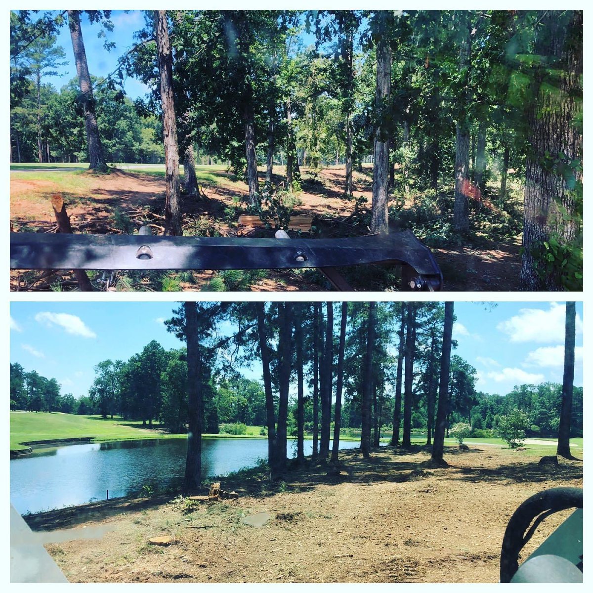 FlatlineInc's tweet photo. Always wanted to clean up that piece of property you have? Do you need more visibility and air movement? Contact us today and learn more about our services. https://t.co/6rCa4oXTkr