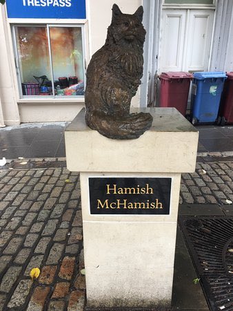 gillies_robert's tweet image. You’re next, oppressor. 
#pullitdown