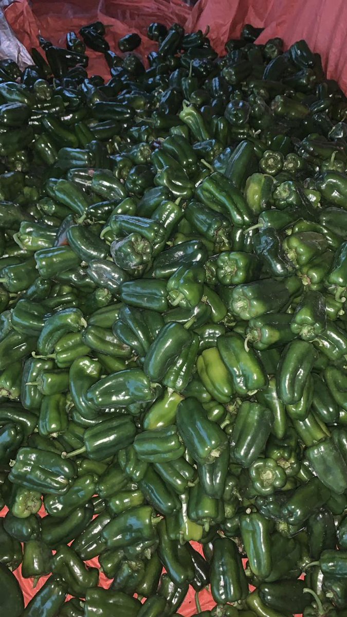 malebarriosc's tweet photo. VENDO VENDO!! Bolsas de 5, 10 y 20 kg. 10.000 mil gs el kg( delivery incluido). Consultas al 0981224102 😄😎 Les agradezco si le dan RTT, me gusta, compartir jejeje ☺️🙌 https://t.co/kfclP1Ll6V