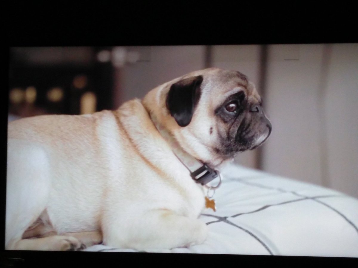 ale__tatiana's tweet photo. Ramón viendo cómo aún no has seguido a @teamRamonCyP 
#TeamRamonCyP https://t.co/D3TMKN85vH