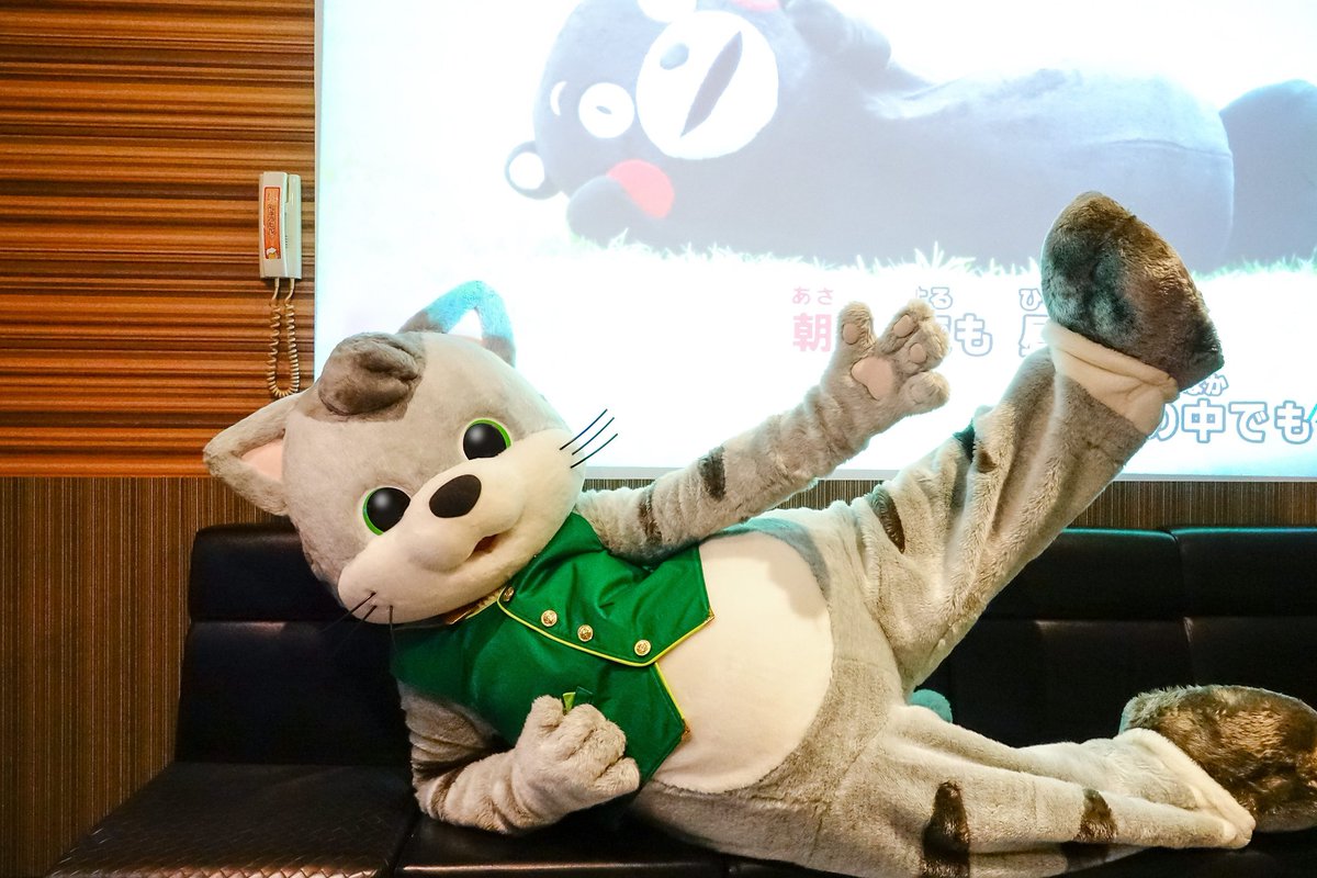Gula グラ 公式 Official Twitter પર モン モン モン くまモン Gula 古拉 グラ Character Mascot 吉祥物 香港 Hongkong Cat Hkmascot ねこ ゆるキャラ キャラクター Musician Pianist 香港吉祥物 鋼琴 Drummer 着ぐるみ Costumedcharacter