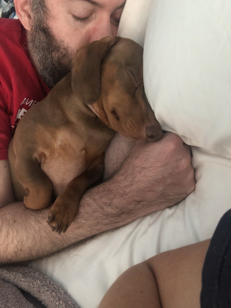 Molly Barnes tweet media