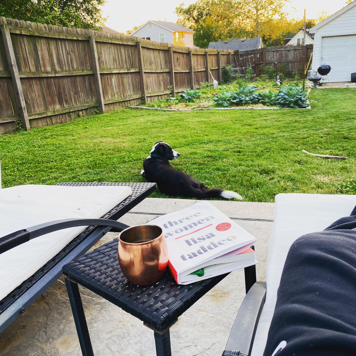 NRBarmadillo's tweet image. Beautiful night♥️ 📖☕️😊🐶 #Dogsitting #Reading #DrinkingTea #PatioWeather #JuneNights #BookOfTheMonthForJune #KatieMcGrathBookClub