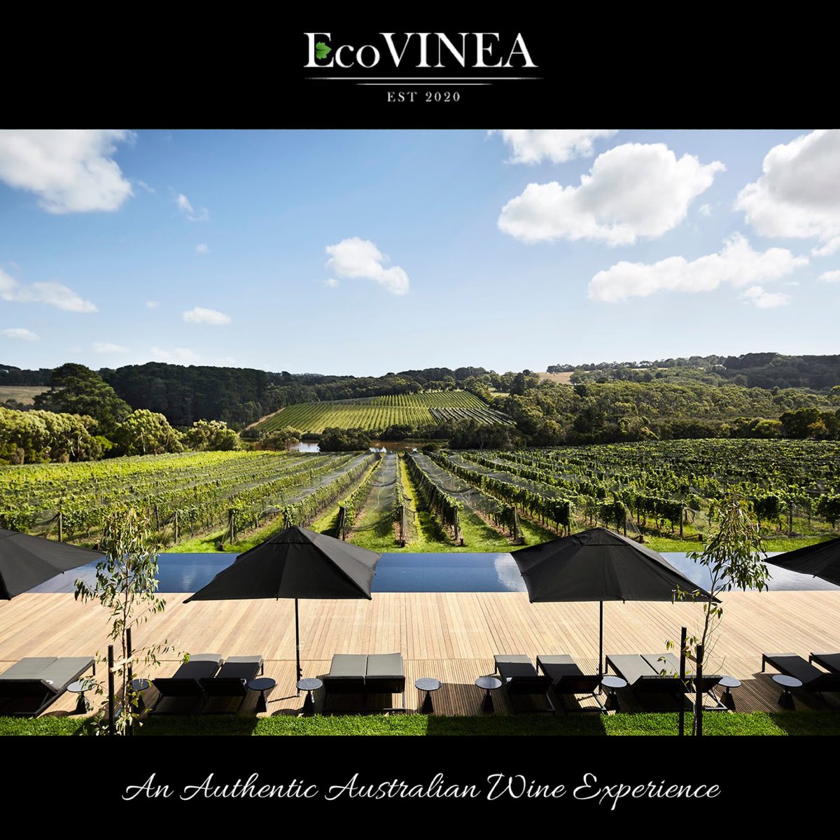 While the sheer size of Australia may encourage you to think big, we say go small, by focusing instead on the country’s wealth of inviting small-scale wine towns located right in the heart of its magnificent viticultural regions. 

ecovinea.com