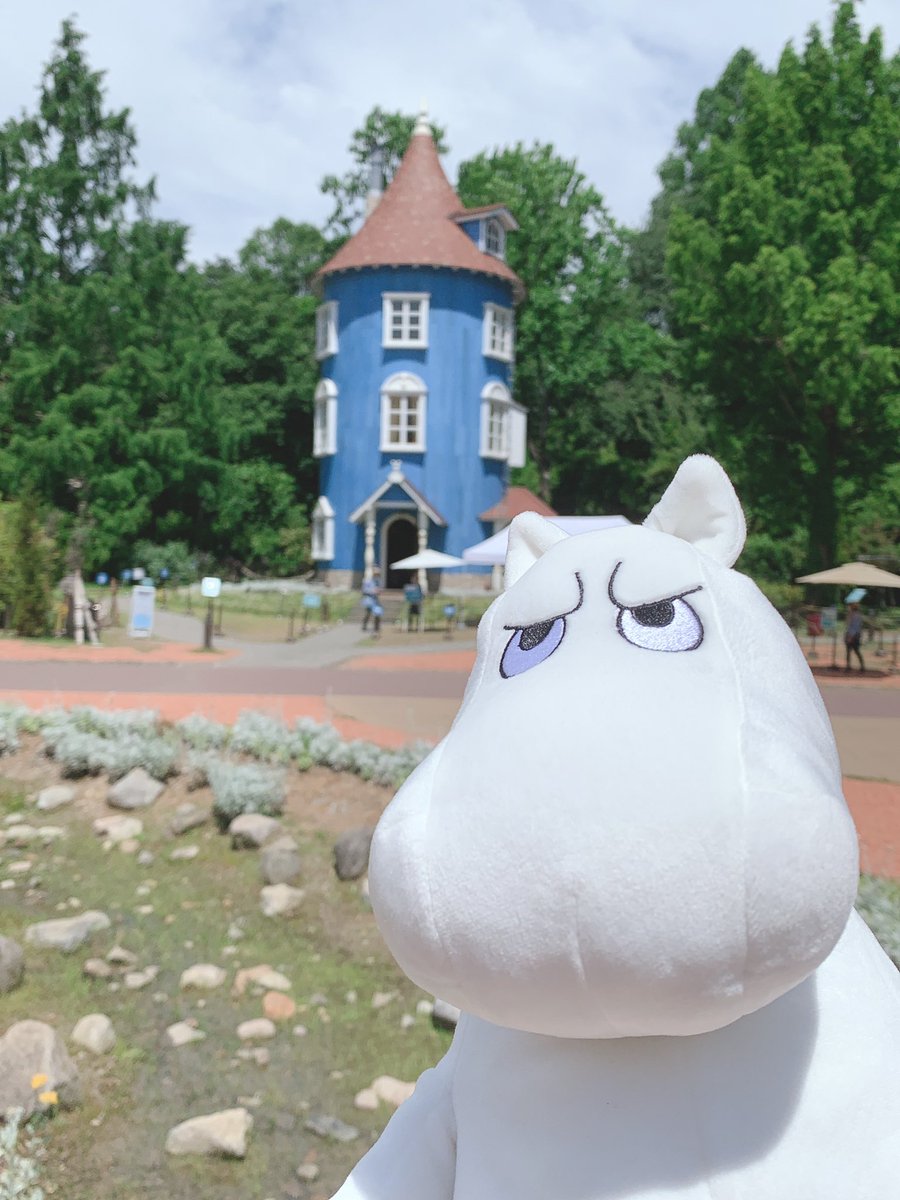 ムーミンが 怒ってる 撮る写真全部不機嫌になる 仕事場でのおれじゃん でもなぜか可愛くて癒されるし手触りもいいらしい Togetter