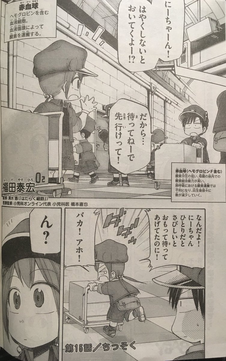 はたらく細胞BABY15話、本日発売のモーニングに掲載されてます。今回のお話は乳幼児期の些細なきっかけで起こる一大事のお話。24ページとほんのり増ページでお送りしております!目次でちょっと大きく載せてもらえてて嬉しい…✨のでよろしくお願いします!!#はたらく細胞BABY 