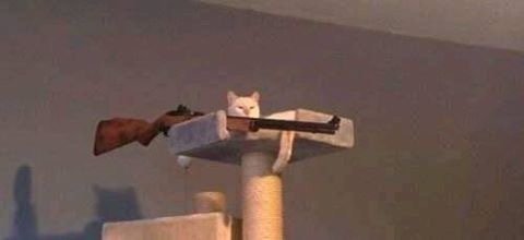 jajajaja_02's tweet image. 