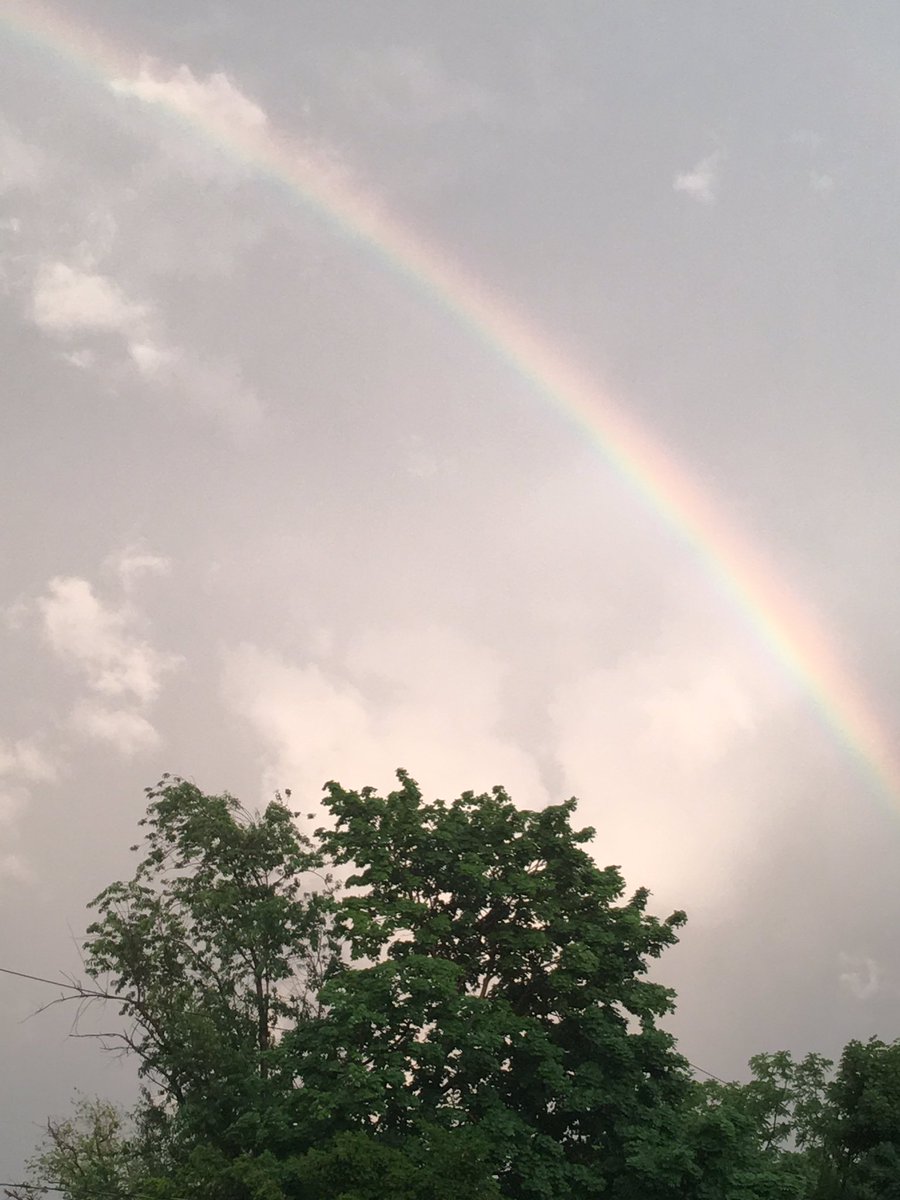 Jonathan Lubas tweet media