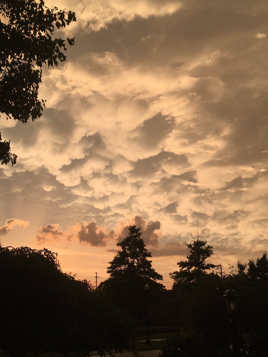 Jonathan Lubas tweet media