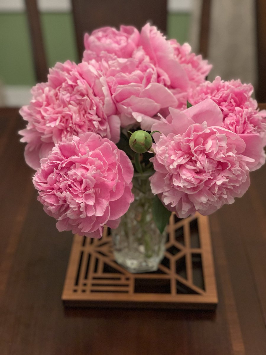 NMMSBUFFALO's tweet photo. Really excited about celebrating our 8th graders tomorrow night @TransitDriveIn ! Here is a consolation picture from my gardens to your eyes! #Peonies #gogators #ThinkNardin #NardinTogether https://t.co/e32qgSO0St