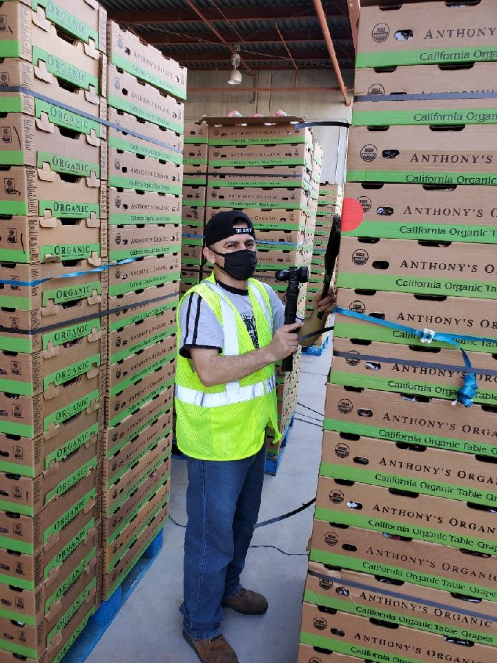 CV Grape Week-Employees; Essential &amp; Appreciated
Packed grapes are loaded and sent to be inspected, cooled and then shipped to you!  Thank you for getting grapes to our table! #buylocal #grapesfromCA #buyCA