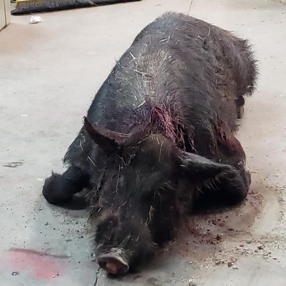 EdJackson8783's tweet image. #NewProfilePic