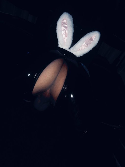 Wow! I thought I was kinky! I need to meet this one! The fucking Easter Bunny will never be the same<a href="/tag/newprofilepic"class="tags"><span>#newprofilepic</span></a>