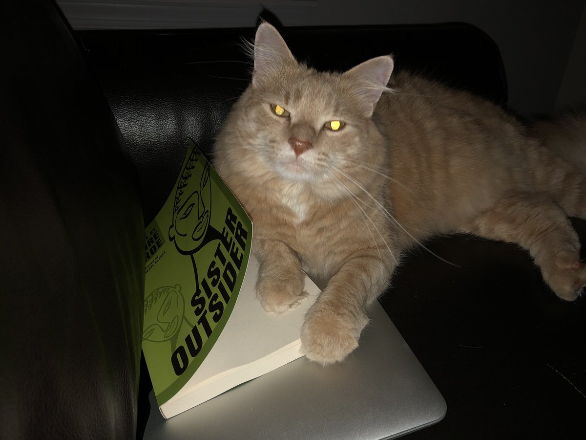 MsCzajkowski's tweet photo. Rogi wants to chime in with his current read- he highly recommends βSister Outsiderβ by Audre Lorde, a collection of essays and speeches by proud female identifying black lesbian. #queerlit #queereducators https://t.co/Z7L3IMkqFF