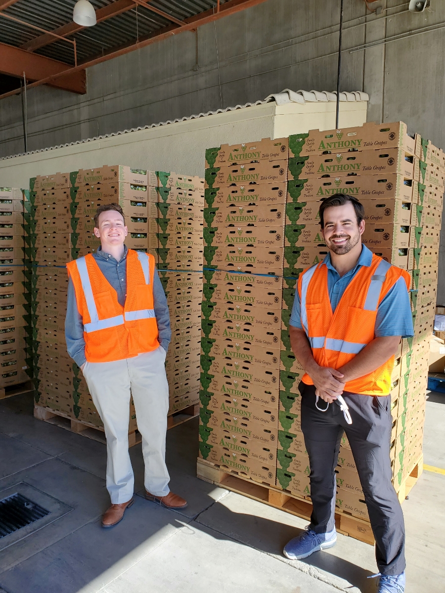 Way2Gro's tweet photo. CV Grape Week-Employees; Essential &amp; Appreciated
It takes a team to get grapes to your table; forklift drivers, shipping, sales, USDA inspectors.  Thank you all!  #buyloca #buyCA #grapesfromCA https://t.co/TXyXrnviiV