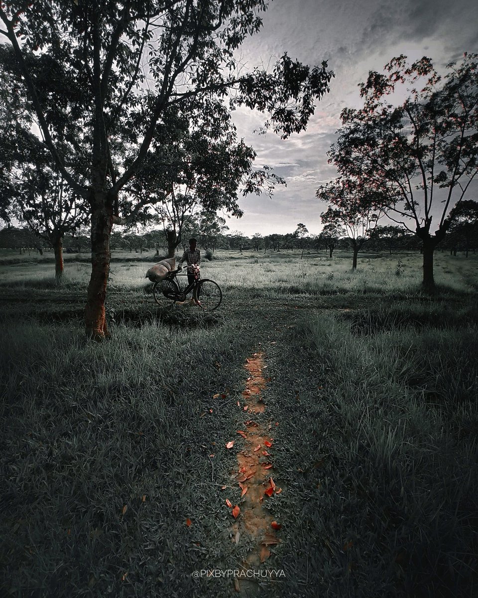 Prachuyya's tweet photo. Way to home
#homecalling #home #india #photography #xiaominote8pro #yourshot_india #Xiaomi #oph #Twitter
For more kindly follow 👇
https://t.co/pOSj575tLq
https://t.co/SVuHC8dFXz https://t.co/BbFatNaN7b