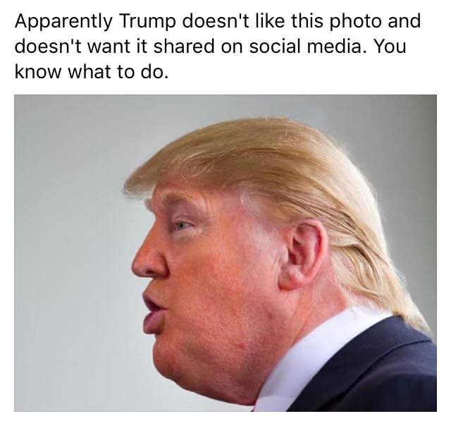 <a href="/realDonaldTrump/">Donald J. Trump</a>