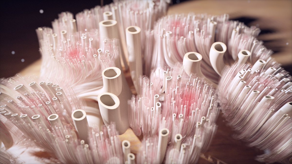 Inigo Quilez A Julia Set For F Q Q C In ℍ Quaternions Plotted Through Cylindrical Orbit Traps These Days I M Mostly Listening And Learning Meanwhile In The Background I Have My Shadertoy