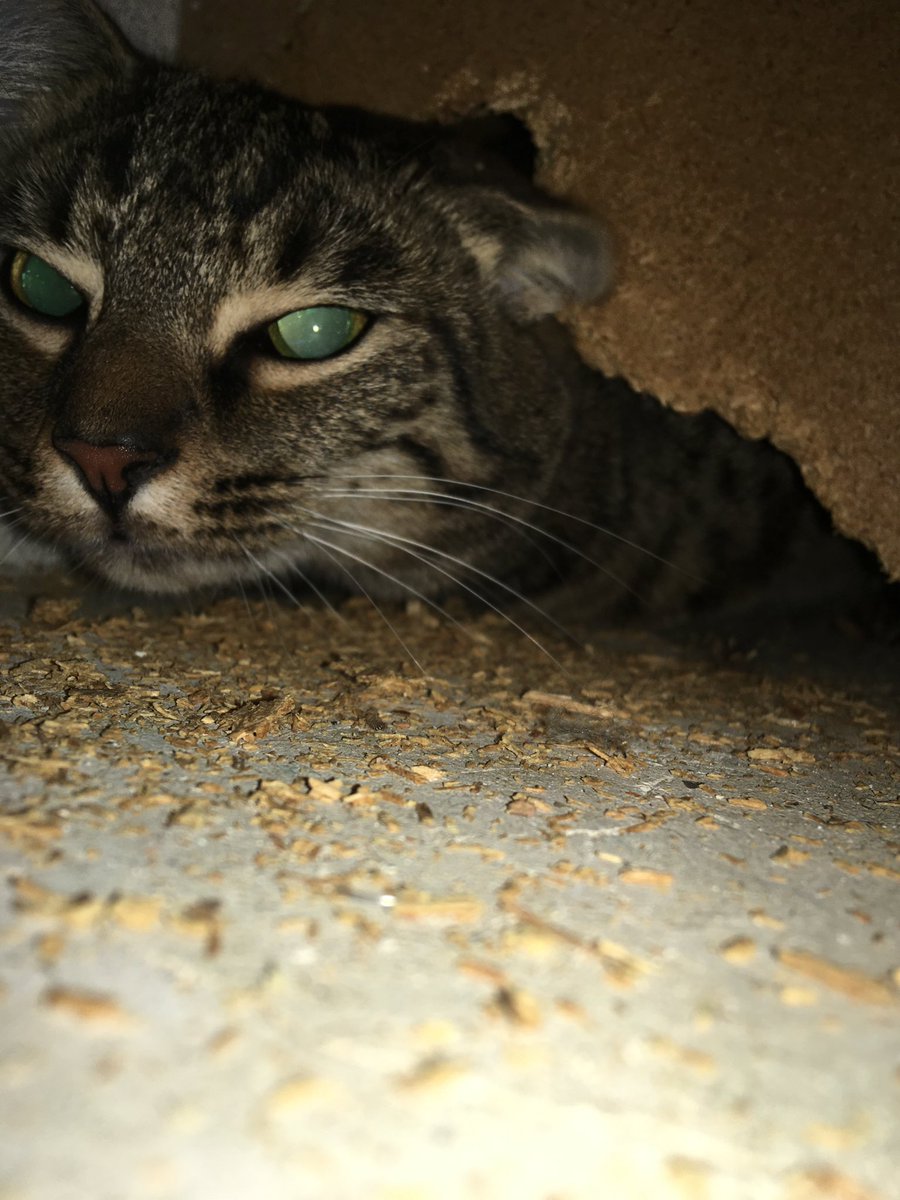 Jon Wilcox tweet media