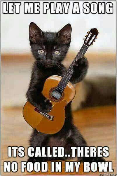 LuisLuiskiss1's tweet photo. @Wewillrocku66 @MetalMamaLady @Doomsday3m @mtlkeith @unknown_meuknow @Dragonboy75 @GibsonGothMan @nowayjeff @The_Brastard @polyunica1 @MetalGisll2 @Jo_Lloyd8 @soccermomgta @OneMoreTattoo_ @metalheadjs @kirkinnmgmailc2 @NeillColton @WyldeHellKat @Valac666 @clairvoyant71 Helloooo loriiii sis Good evening 🤟🙀 https://t.co/2iqccXouxb