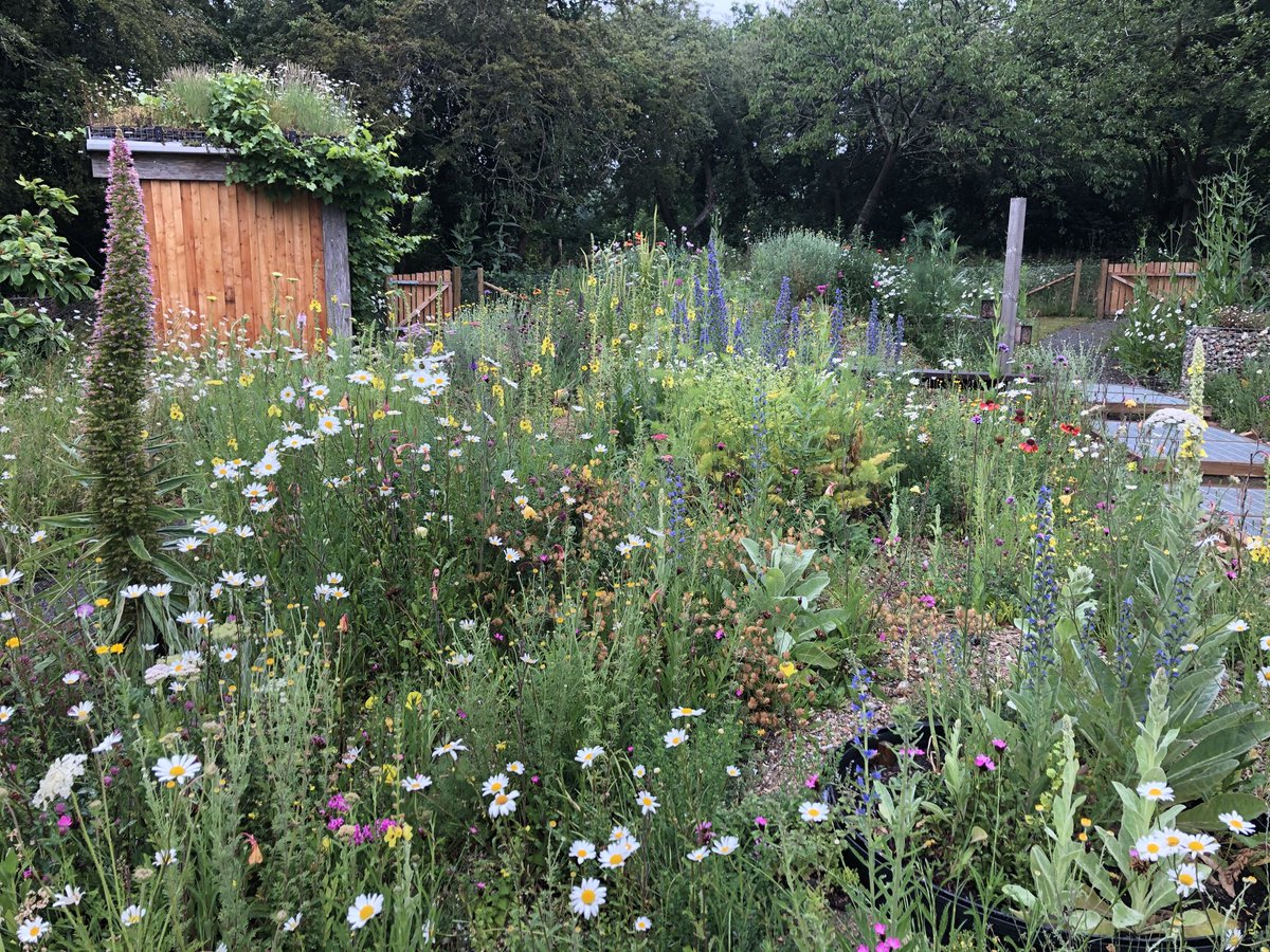 We are now opening our garden on July 5th. Book tickets through the NGS website:) #brownfieldgarden