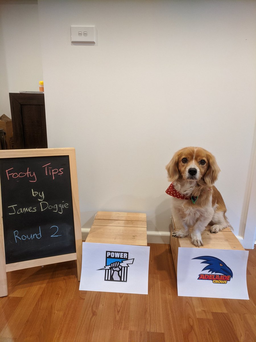 Derby day! Honestly happy not to hear the Port crowd live on telly haha #aflpowercrows #AFL #DoggieTips <a href="/AFL/">AFL</a> <a href="/PAFC/">Port Adelaide FC</a> <a href="/Adelaide_FC/">Adelaide Crows</a> #weflyasone