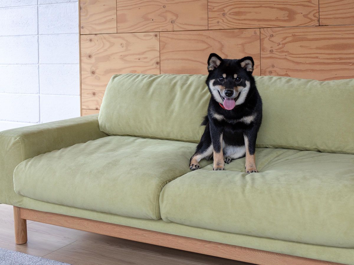 ট ইট র Flymee ペットと暮らすご家庭に向けた張地を使用した特別仕様のソファ 全体的に高さを抑えたゆったりとしたバージュソファは 全体の幅が大きく 肘も低く幅もあるので ごろんと横になるのにも適しています T Co Mosifjryrw 犬のいる暮らし