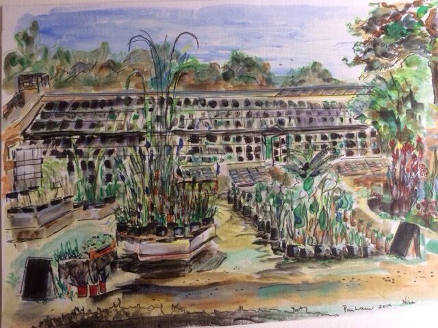 Parham plant sales area painted last year when we could visit this lovely garden 2019