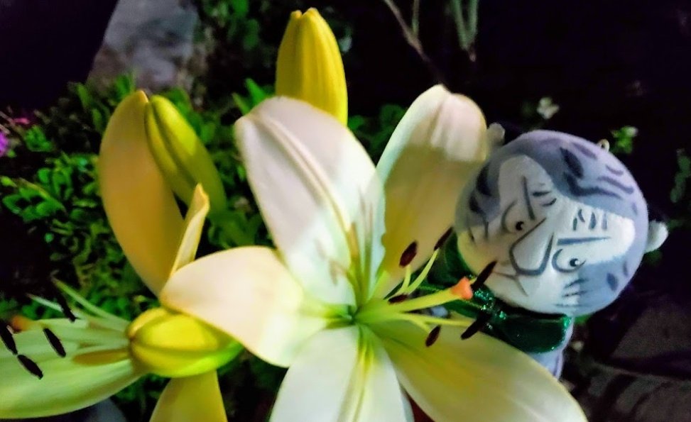 もえりん💙 on Twitter: らんらんらんらんらんらんらんらん♪…