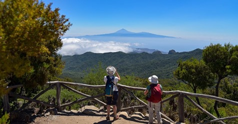 CEOE-TENERIFE tweet media
