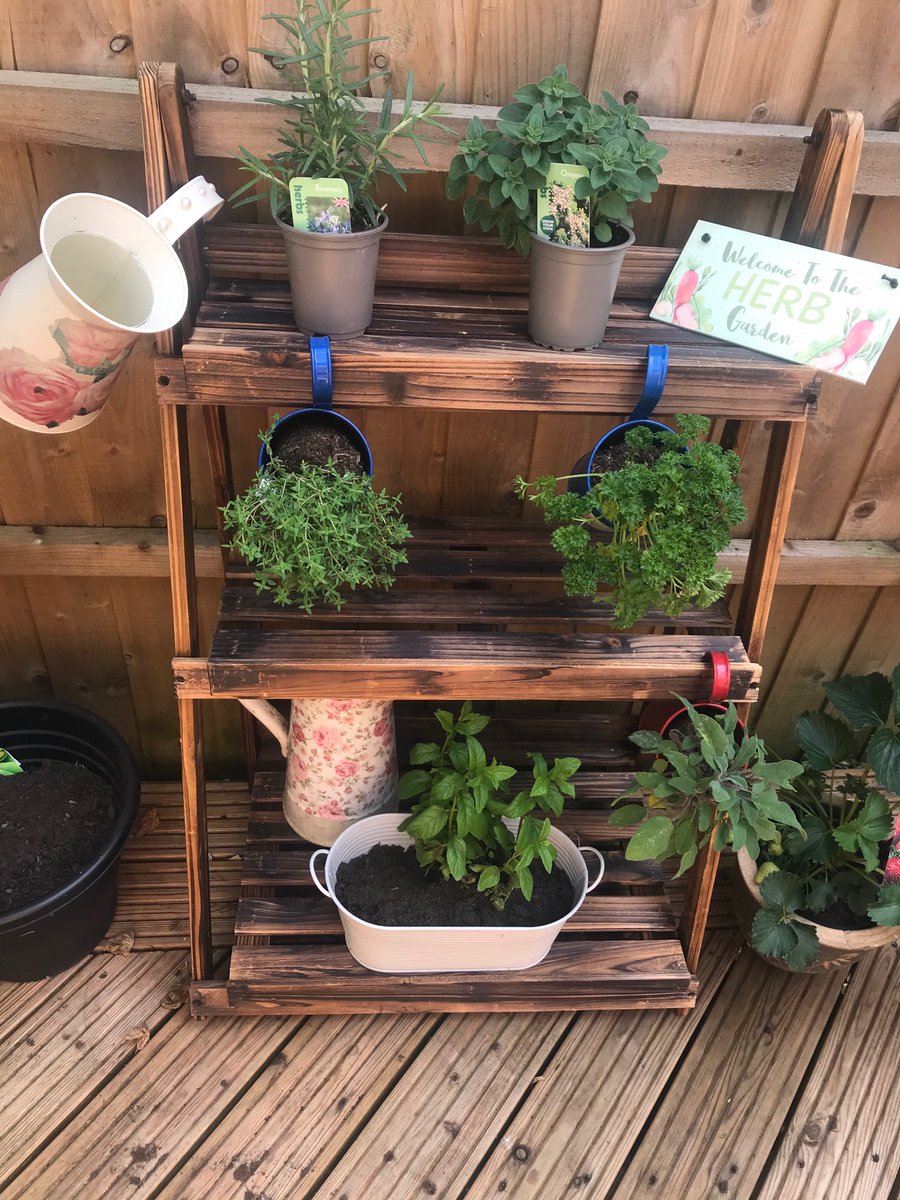 ZoeMiddleton20's tweet photo. Growing my own .....stay at home &amp; stay safe 🥕🥬🌷🌹 https://t.co/Fa6K0HNcKN