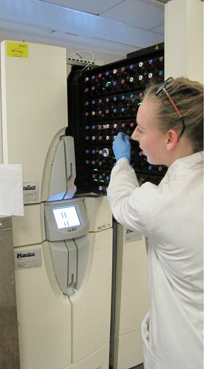 LabMedicineMFT's tweet image. It&apos;s estimated that over 70% of medical diagnoses are based on their laboratory test results. Biomedical scientists play a critical role in ensuring patients get an accurate diagnosis and effective treatment #BehindEveryTest #BiomedicalScienceDay2020