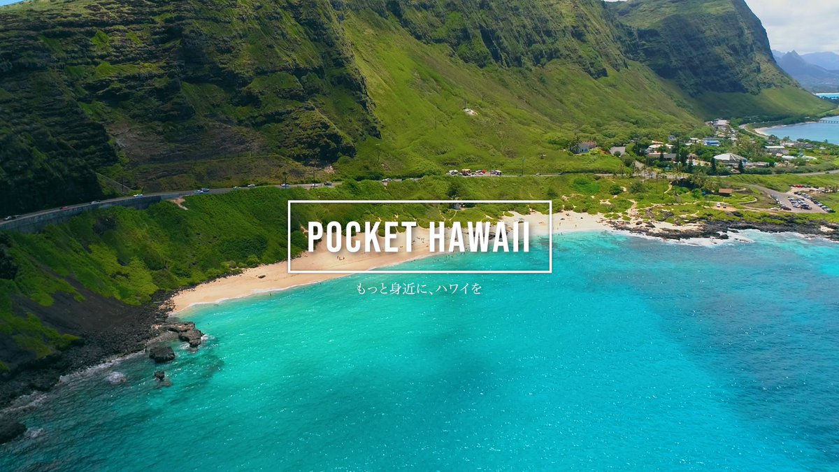 PocketHawaii tweet media