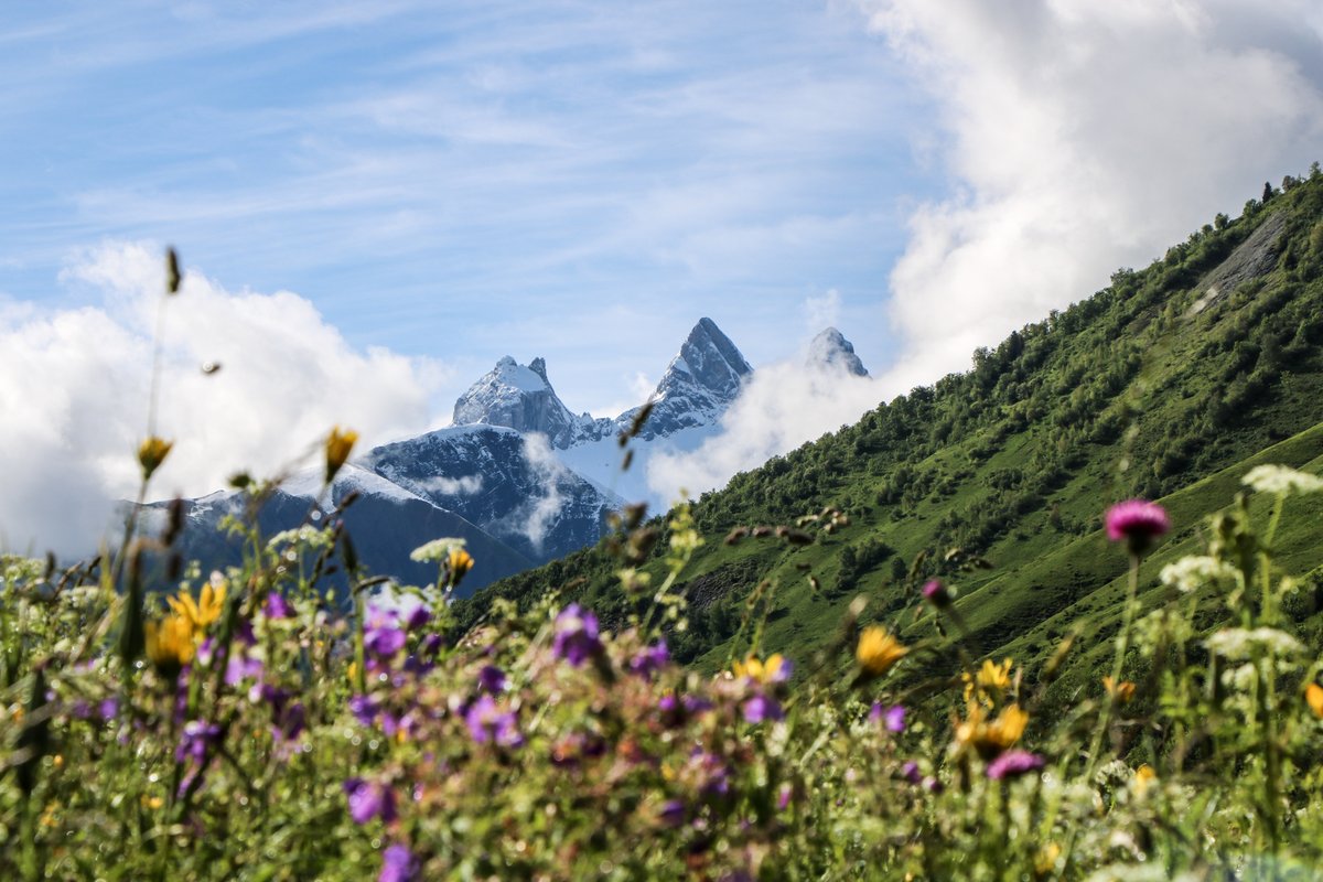 Réveil entre neige et fleurs aujourd'hui ! 😍

Vous nous rejoignez cet été ? ⛰

#SaintSorlindArves #LesSybelles #Sybelles #Savoie #Alpes #vacancesenfrance #cetetejevisitelafrance