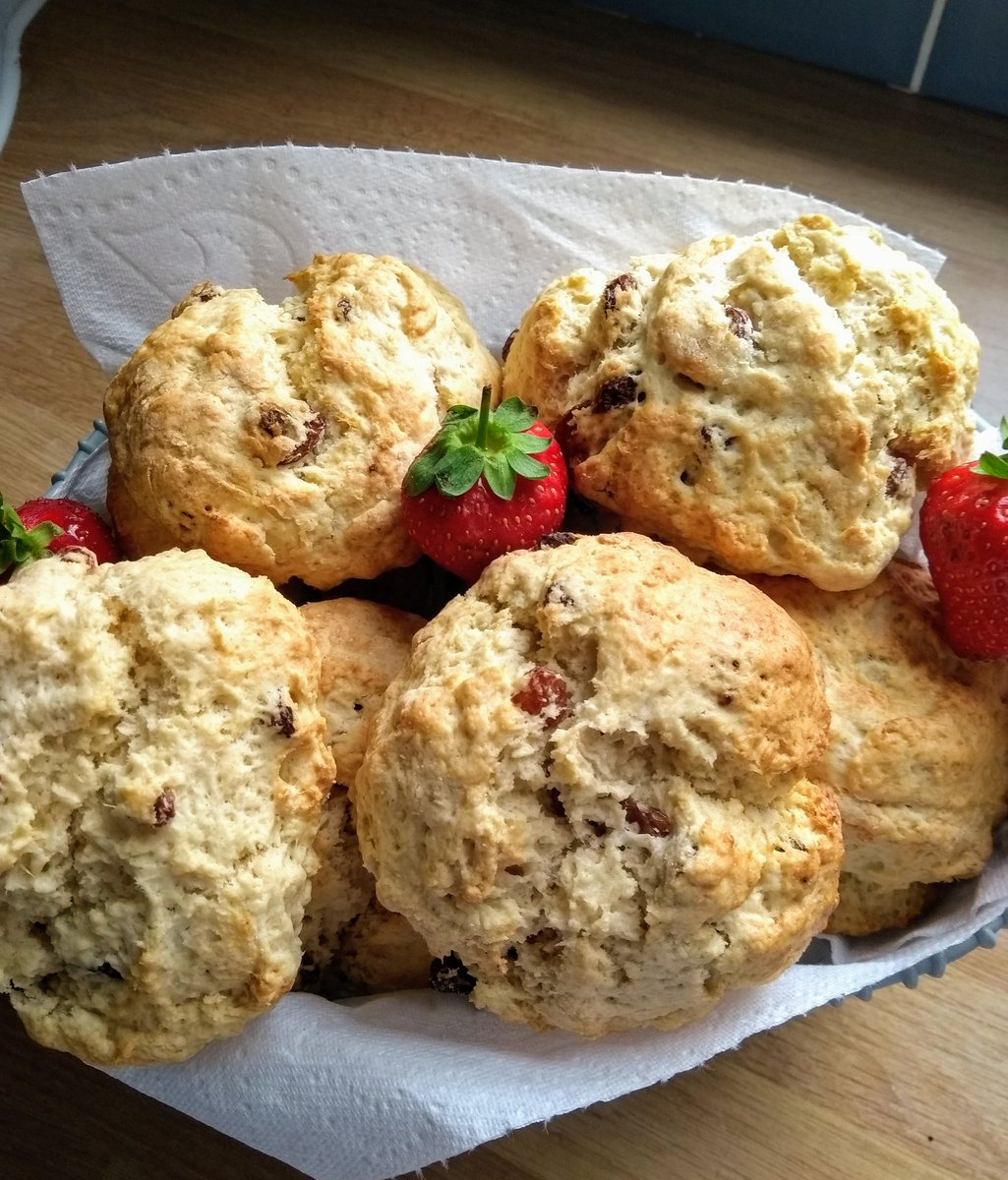 Cockpit_Farm's tweet photo. They're out! #sconeswithjamandcream https://t.co/gRY9vSFDhm
