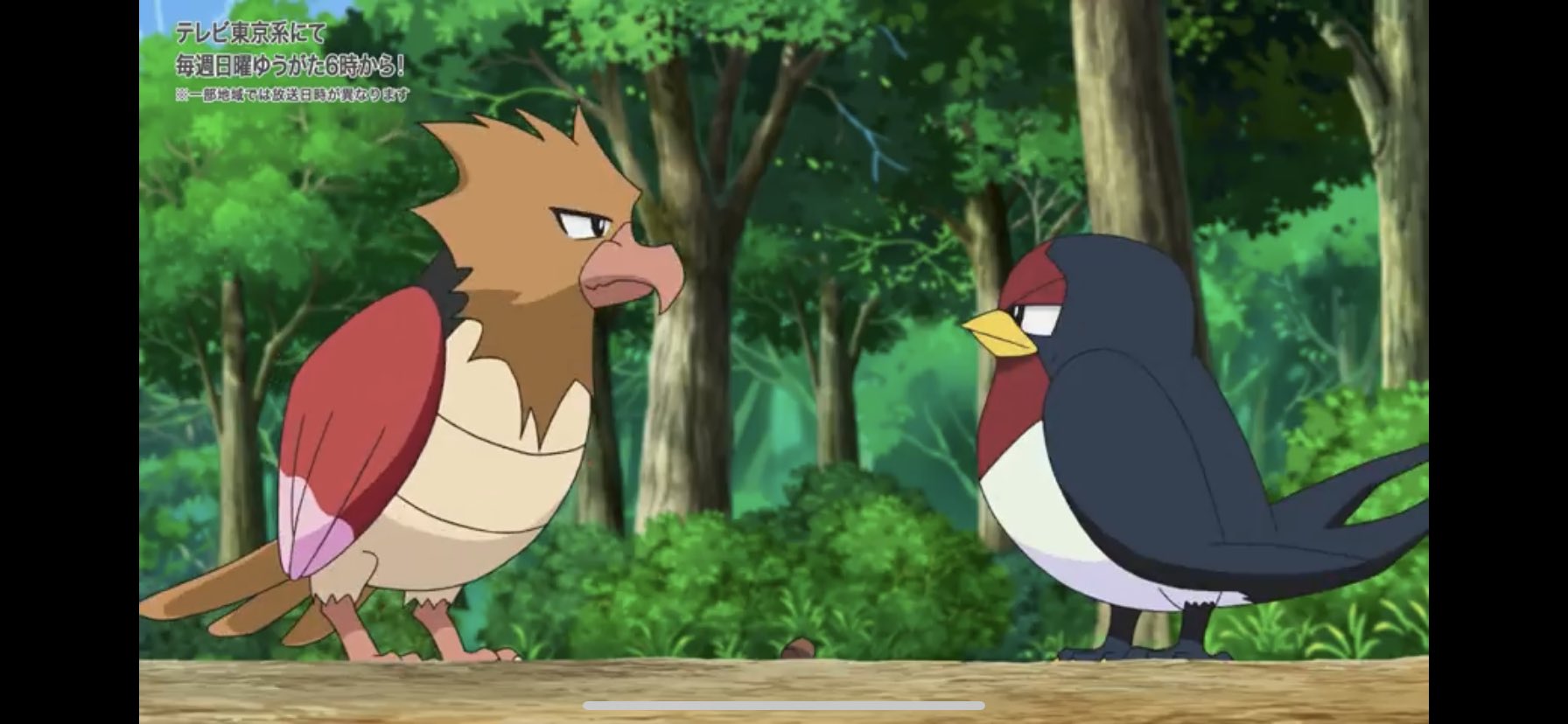 ノングー ポケモン オニスズメ お前 鳥ポケモンのくせに序盤はみんなそらをとぶ扱いしてるな スバメ そういうお前は 第1話でサトシとピカチュウ追いかけてたくせに T Co Okjrc12beb Twitter